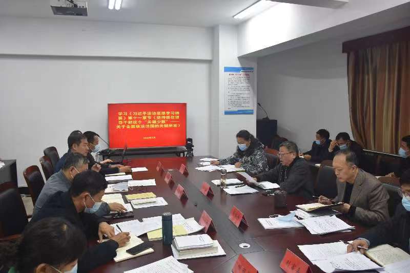 新乡市文化广电和外事旅游局组织全体党员干部集体学习习近平法治思想
